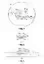Fig. 06 - Method for creating incision to improve intraocular lens placement