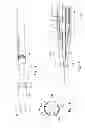Fig. 09 - ELONGATED ELECTROSURGICAL INSTRUMENT, A SUCTION TIP FOR THE ELECTROSURGICAL INSTRUMENT AND METHOD OF ADJUSTING THE AXIAL POSITION OF THE SUCTION TIP ON THE ELECTROSURGICAL INSTRUMENT