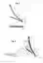 Fig. 03 - Bone nail for the heel