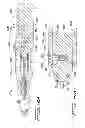 Fig. 53 - Vascular hole closure device