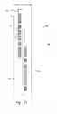 Fig. 11 - Selective high frequency spinal cord modulation for inhibiting pain with reduced side effects, and associated systems and methods