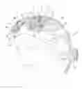 Fig. 01 - ELECTRODE-RETAINING HEADBAND