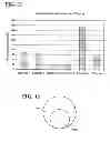 Fig. 09 - IMPLANTABLE BIOCOMPATIBLE TUBULAR MATERIAL