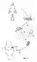 Fig. 06 - METHODS AND DEVICES FOR JOINT LOAD CONTROL DURING HEALING OF JOINT TISSUE
