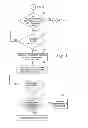 Fig. 07 - METHOD AND SYSTEM OF PROGRAMMING AT LEAST ONE APPLIANCE TO CHANGE STATE UPON THE OCCURRENCE OF A TRIGGER EVENT