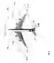 Fig. 02 - Collision avoidance system for aircraft ground operations