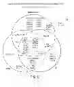 Fig. 40 - Biomarkers For Predicting Progressive Joint Damage