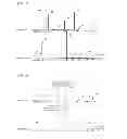 Fig. 16 - EVALUATING METHOD FOR PATTERN, EVALUATING METHOD FOR MULTICOMPONENT MATERIAL, EVALUATING PROGRAM, AND EVALUATING APPARATUS