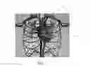 Fig. 02 - MEANS AND METHODS OF MULTIDIMENSIONAL MODELING IN VIVO SPATIAL IMAGE OF AN MRI CONTRAST AGENT