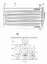 Fig. 07 - SYSTEM AND METHOD FOR GENERATING 'RARE CROWD' INVENTORY FOR ADVERTISING