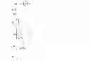 Fig. 97 - PIECEWISE LINEAR NEURON MODELING
