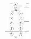 Fig. 12 - System and method for managing data policies on application objects