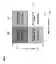 Fig. 04 - Adaptive scheduled periodic caching