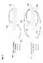 Fig. 10 - Adaptive scheduled periodic caching