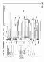 Fig. 20 - Visibility inspector in social networks