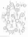 Fig. 03 - Electronic Message Data Input for Social Graphing