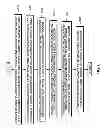 Fig. 07 - Dynamic routing of instant message