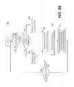 Fig. 06 - Platform-independent method and system for electronically engaging customers