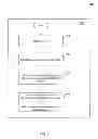 Fig. 10 - Recovery of a failed registry