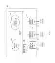 Fig. 07 - Bandwidth on-demand services in multiple layer networks