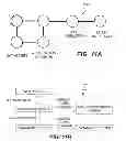 Fig. 15 - Generic discovery for computer networks