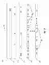 Fig. 03 - Self-sizing dynamic cache for virtualized environments
