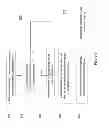 Fig. 09 - SYSTEMS AND METHODS FOR PROVIDING CONTEXTUAL BASED TRUNCATION
