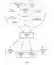 Fig. 02 - Generating a social glossary