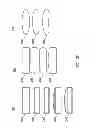 Fig. 05 - Delegating processing from wearable electronic device