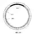 Fig. 100 - Delegating processing from wearable electronic device