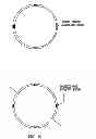 Fig. 23 - Delegating processing from wearable electronic device
