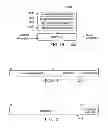 Fig. 09 - Secure master and secure guest endpoint security firewall