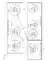 Fig. 09 - Context-based security screening for accessing data