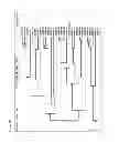 Fig. 12 - Identification and the use of KRP mutants in plants