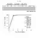 Fig. 06 - Gene implicated in abiotic stress tolerance and growth accelerating and use thereof