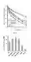 Fig. 14 - Gene implicated in abiotic stress tolerance and growth accelerating and use thereof