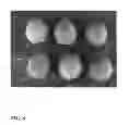 Fig. 09 - Walnut tree named 'Solano'
