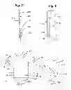 Fig. 03 - UPPER GARMENT HAVING A PRE-TENSIONED BAND AND METHOD FOR MAKING THE SAME