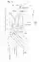 Fig. 17 - TROUSERS, WORK TROUSERS AND OVERALLS