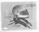 Fig. 01 - Head and neck restraining system