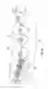 Fig. 06 - Orthodontic toothbrush
