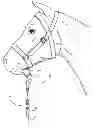 Fig. 01 - Quick release horse lead clip assembly