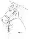Fig. 05 - Quick release horse lead clip assembly