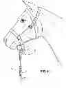 Fig. 06 - Quick release horse lead clip assembly