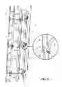 Fig. 02 - LADDER RING CAGE