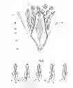 Fig. 02 - Dental and medical instruments comprising titanium