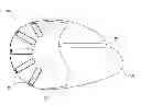 Fig. 01 - Pedicure protection device and system