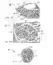 Fig. 07 - Shoe sole orthotic structures and computer controlled compartments