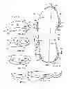Fig. 44 - Shoe sole orthotic structures and computer controlled compartments