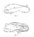 Fig. 48 - Shoe sole orthotic structures and computer controlled compartments